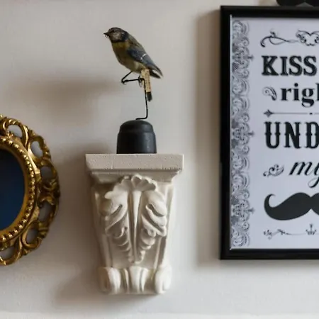 - Cozy Loft Appartement